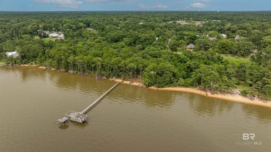 There's a stretch of shoreline in Fairhope where the land opens - photo 16