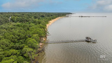 There's a stretch of shoreline in Fairhope where the land opens - photo 18