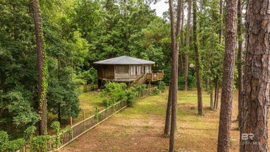 There's a stretch of shoreline in Fairhope where the land opens - photo 22