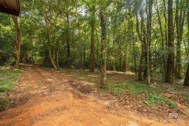 There's a stretch of shoreline in Fairhope where the land opens - photo 25