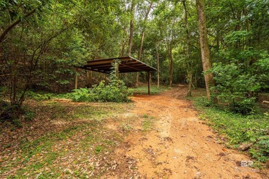 There's a stretch of shoreline in Fairhope where the land opens - photo 26