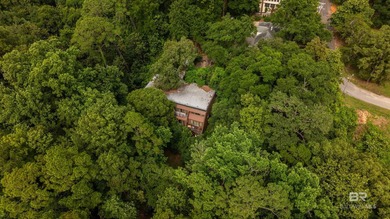 There's a stretch of shoreline in Fairhope where the land opens - photo 27