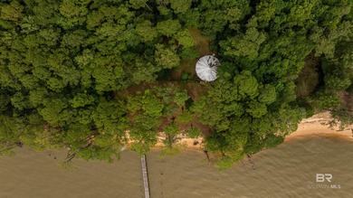 There's a stretch of shoreline in Fairhope where the land opens - photo 28