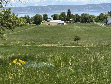 12.4 ACRES Bear LAKE & MOUNTAIN VIEWS. Remodeled Country Home - photo 28