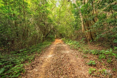 There's a stretch of shoreline in Fairhope where the land opens - photo 29