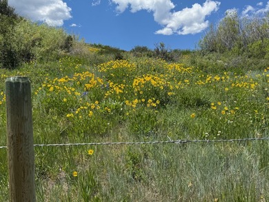 12.4 ACRES Bear LAKE & MOUNTAIN VIEWS. Remodeled Country Home - photo 29