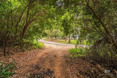 There's a stretch of shoreline in Fairhope where the land opens - photo 30