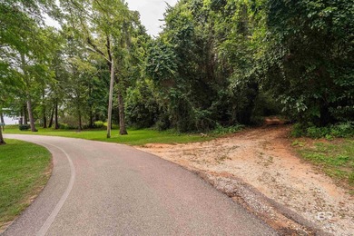 There's a stretch of shoreline in Fairhope where the land opens - photo 31