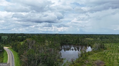 (private lake, pond, coastal) Acreage Sale Pending in Ailey Georgia