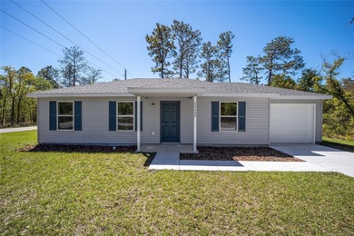 Bonable Lake Home Sale Pending in Dunnellon Florida