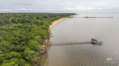 There's a stretch of shoreline in Fairhope where the land opens - photo 33