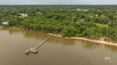 There's a stretch of shoreline in Fairhope where the land opens - photo 37