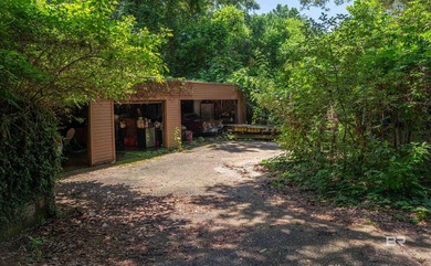 There's a stretch of shoreline in Fairhope where the land opens - photo 39