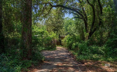 There's a stretch of shoreline in Fairhope where the land opens - photo 40