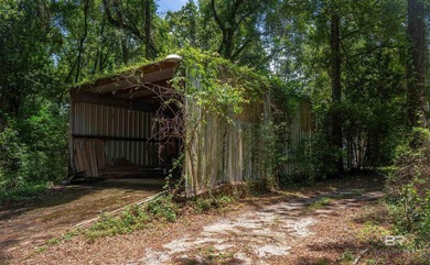There's a stretch of shoreline in Fairhope where the land opens - photo 41