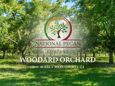 (private lake, pond, creek) Acreage For Sale in Waycross Georgia