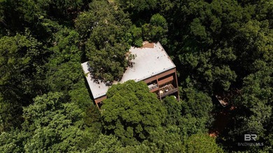 There's a stretch of shoreline in Fairhope where the land opens - photo 43