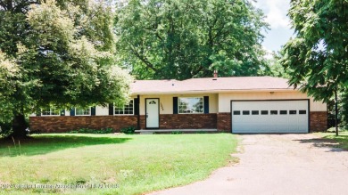 Lake Geneva - Clinton County Home For Sale in Dewitt Michigan