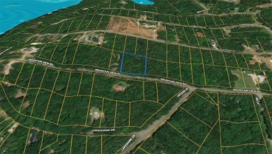 Lake Lot For Sale in Lavonia, Georgia