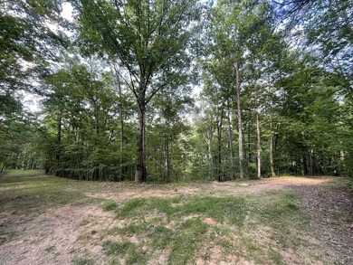 Carters Lake Lot Sale Pending in Ranger Georgia