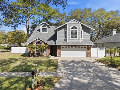 Lake Tarpon Home Sale Pending in Palm Harbor Florida