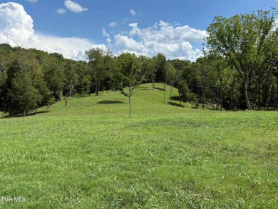 Lake Acreage For Sale in Piney Flats, Tennessee