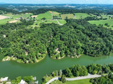 Lake Acreage For Sale in Piney Flats, Tennessee