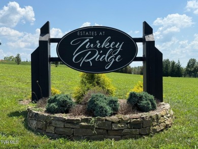 Lake Lot For Sale in Piney Flats, Tennessee