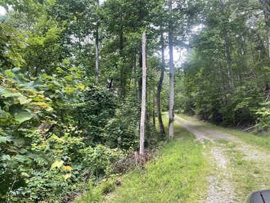 Carters Lake Lot Sale Pending in Ranger Georgia