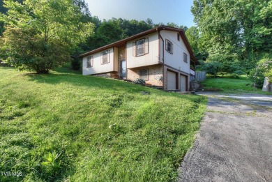 Lake Home For Sale in Hampton, Tennessee
