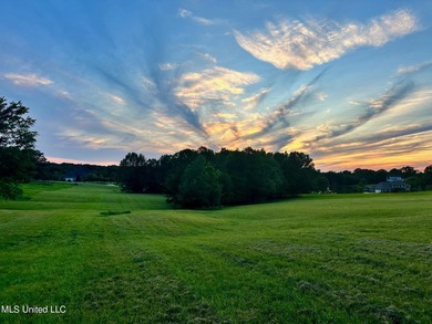 Lake Acreage Sale Pending in Flora, Mississippi