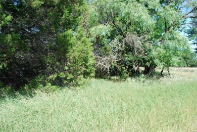 Lake Lot For Sale in Whitney, Texas