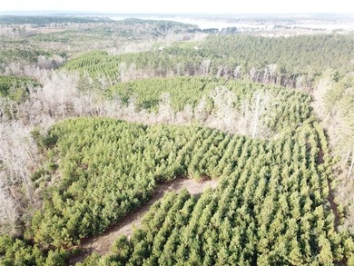 Toledo Bend Reservoir Acreage For Sale in Zwolle Louisiana