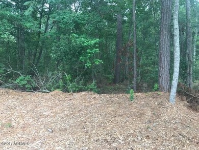 Visible From Hwy 278, Behind Infinity/Vaden Car Dealership - photo 11