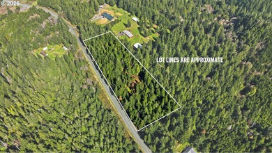 Tucked away on the east side of Bandon, this forested 5-acre - photo 11
