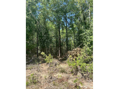 BEAUTIFUL CREEK FRONT PROPERTY! A rare opportunity to own - photo 3