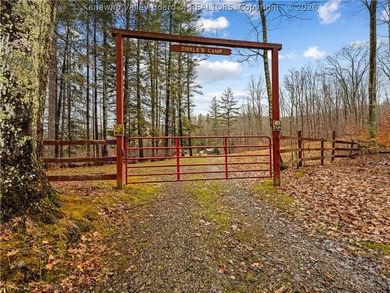 This 222-acre property quietly nestled between large tracts of - photo 2