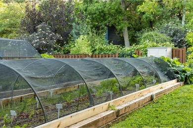 A Rare Organic Homestead - Grounded in Self-Reliance and Natural - photo 11