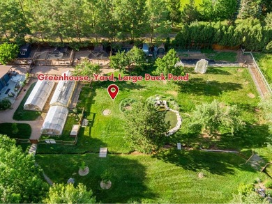 A Rare Organic Homestead - Grounded in Self-Reliance and Natural - photo 13