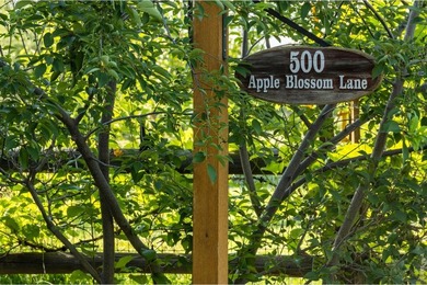 A Rare Organic Homestead - Grounded in Self-Reliance and Natural - photo 19