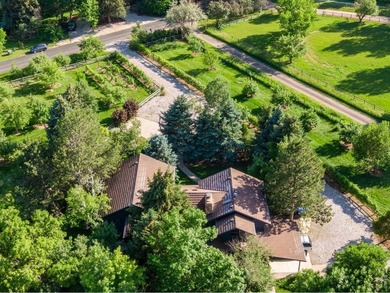 A Rare Organic Homestead - Grounded in Self-Reliance and Natural - photo 20
