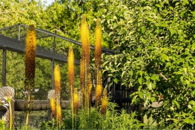 A Rare Organic Homestead - Grounded in Self-Reliance and Natural - photo 48