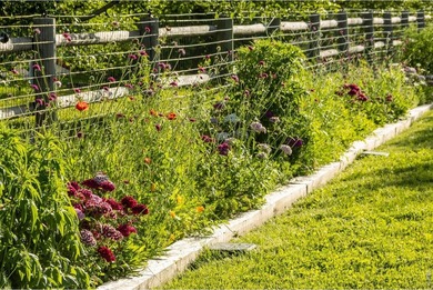 A Rare Organic Homestead - Grounded in Self-Reliance and Natural - photo 49