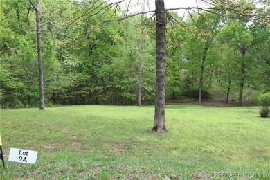 Lake of the Ozarks Lot For Sale in Laurie Missouri
