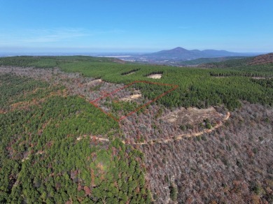 (private lake, pond, creek) Acreage For Sale in Heavener Oklahoma