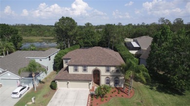 Lake Home For Sale in Land O Lakes, Florida