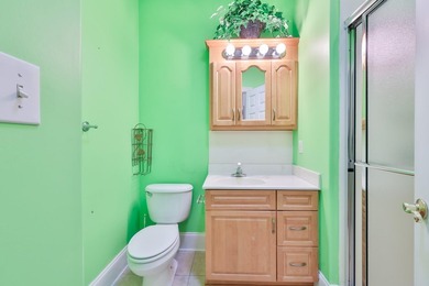 Welcome to 533 Stonemason Dr. in Myrtle Beach, a stunning - photo 29