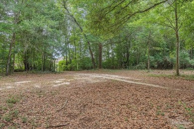 12 Acre Estate! Hidden behind beautiful mature oak trees and - photo 5