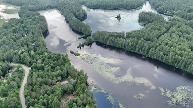 Build your Northwoods dream on this beautiful 0.34-acre wooded - photo 11