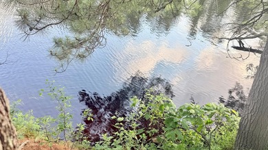Build your Northwoods dream on this beautiful 0.34-acre wooded - photo 13